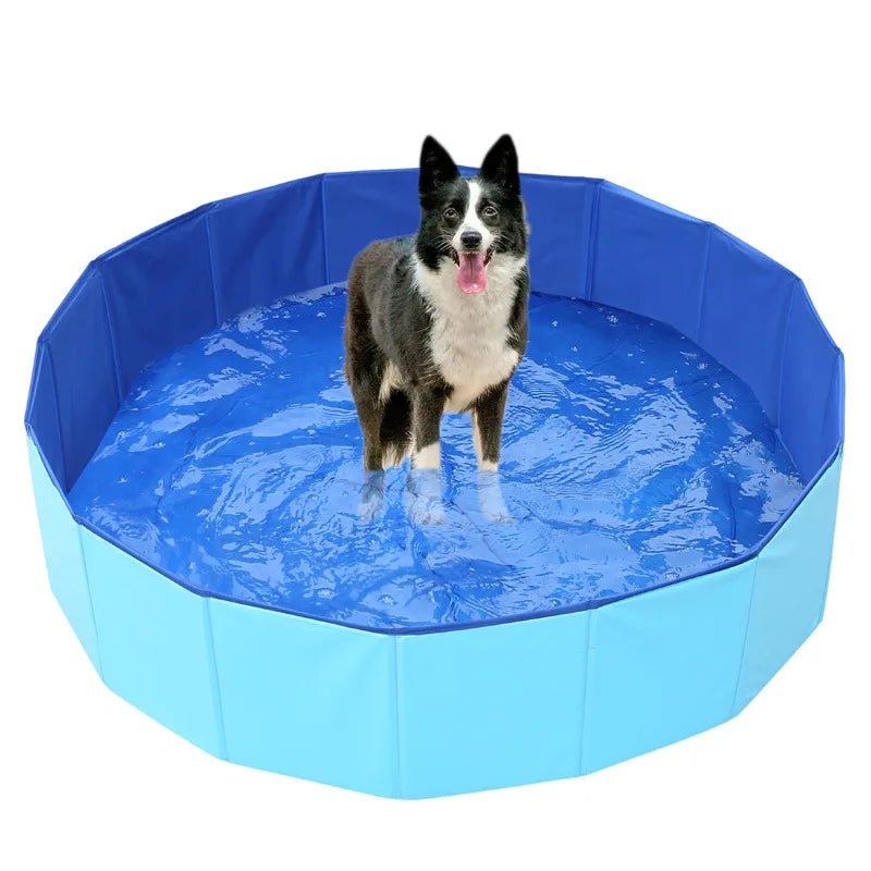 Baignoire pliable pour chats - L Univers Des Felins