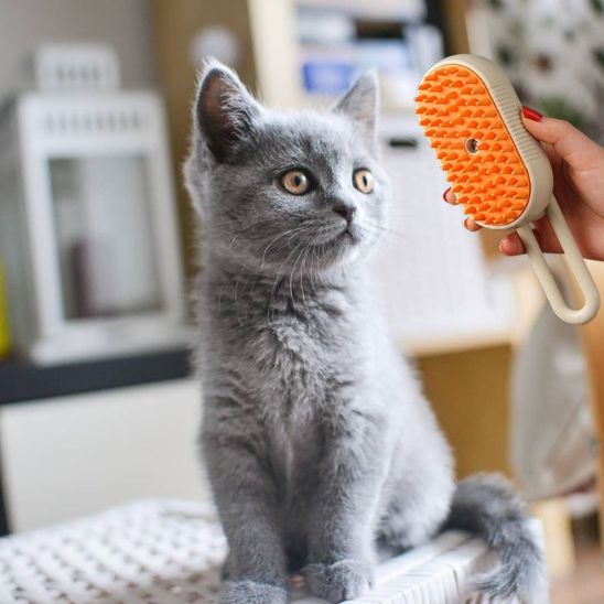 brosse pour chat petite