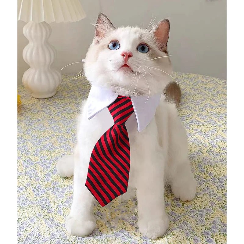 Collier de chat réglable avec nœud papillon rayé, idéal pour son toilettage - L Univers Des Felins