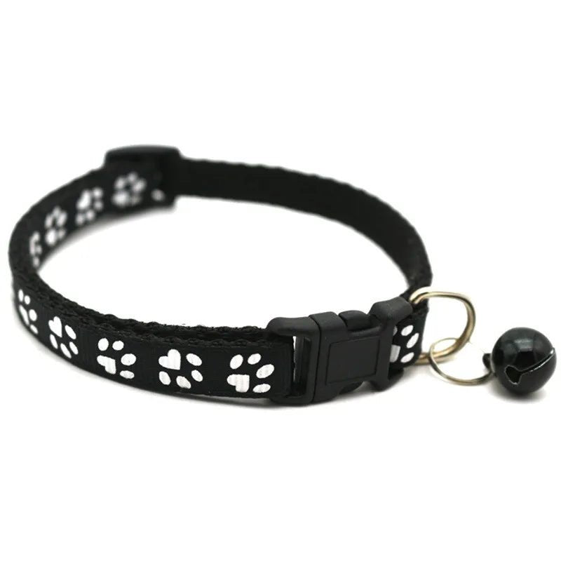 Collier élégant pour chats avec fleurs et dentelle - L Univers Des Felins