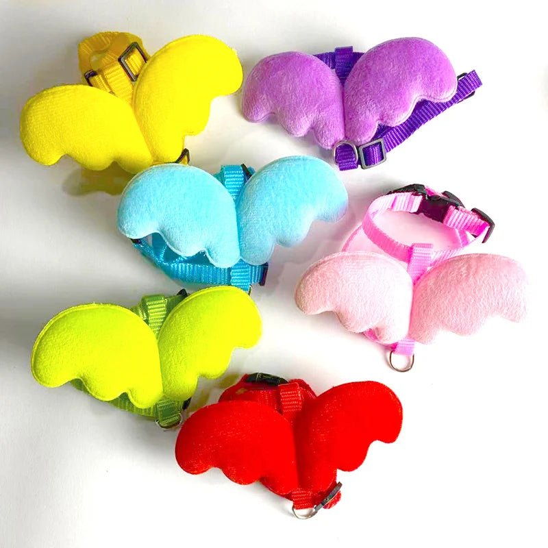 Ensemble harnais et laisse pour chat avec ailes d'ange. - L Univers Des Felins