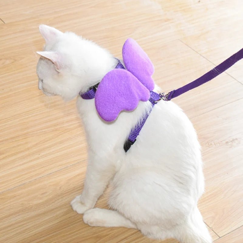 Ensemble harnais et laisse pour chat avec ailes d'ange. - L Univers Des Felins