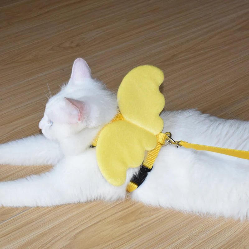 Ensemble harnais et laisse pour chat avec ailes d'ange. - L Univers Des Felins