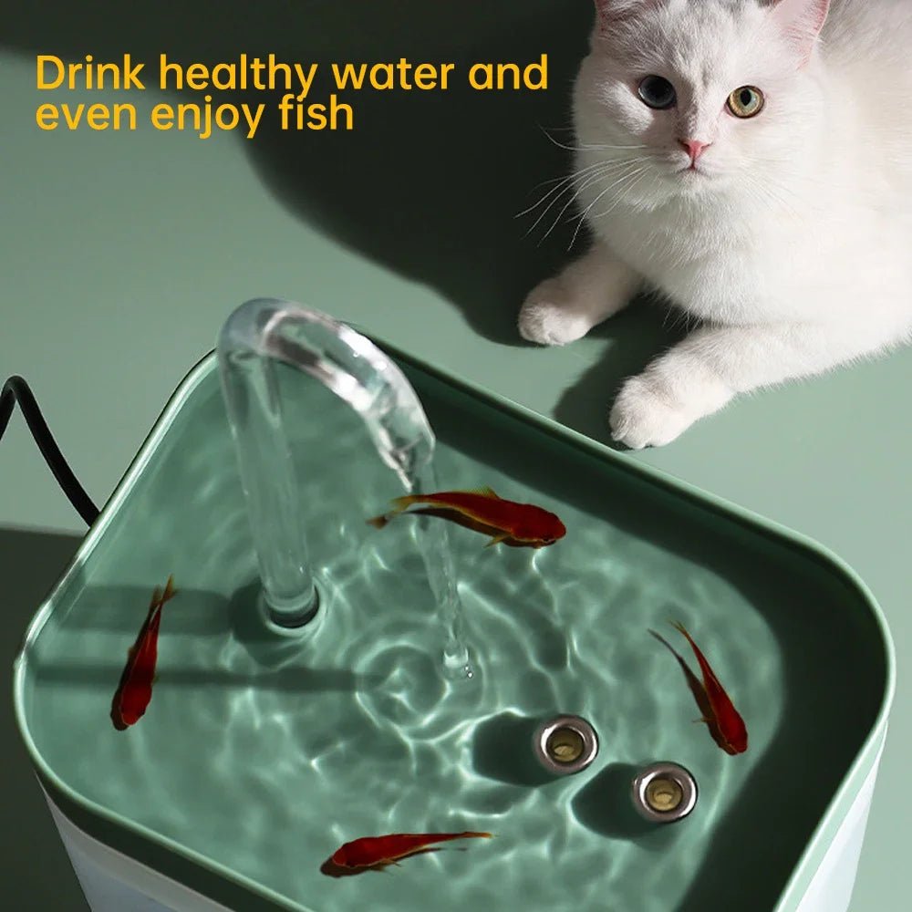 Fontaine à eau automatique pour chats de 1,5 L - L Univers Des Felins