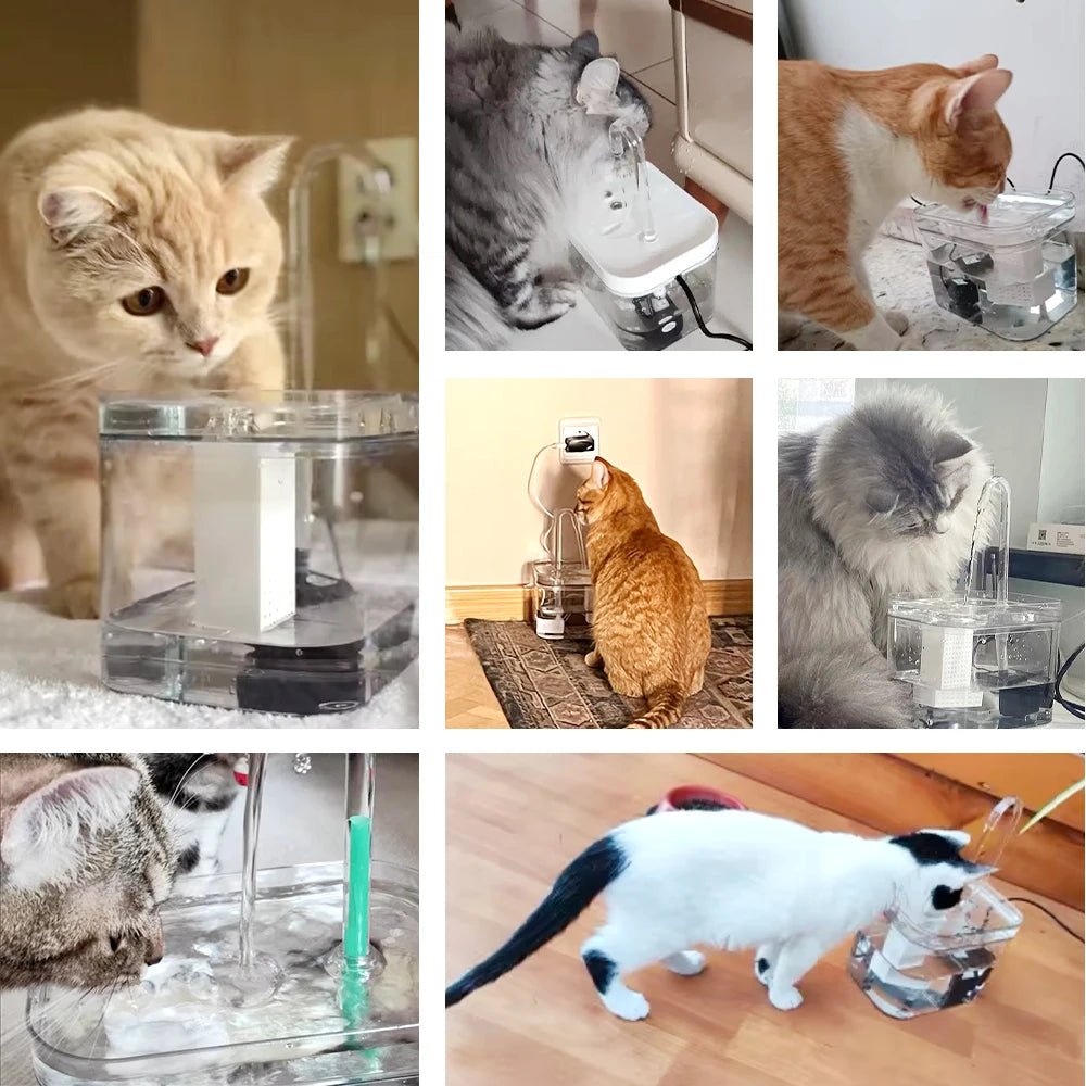 Fontaine à eau intelligente pour chat avec filtre automatique, alimentée par USB - L Univers Des Felins