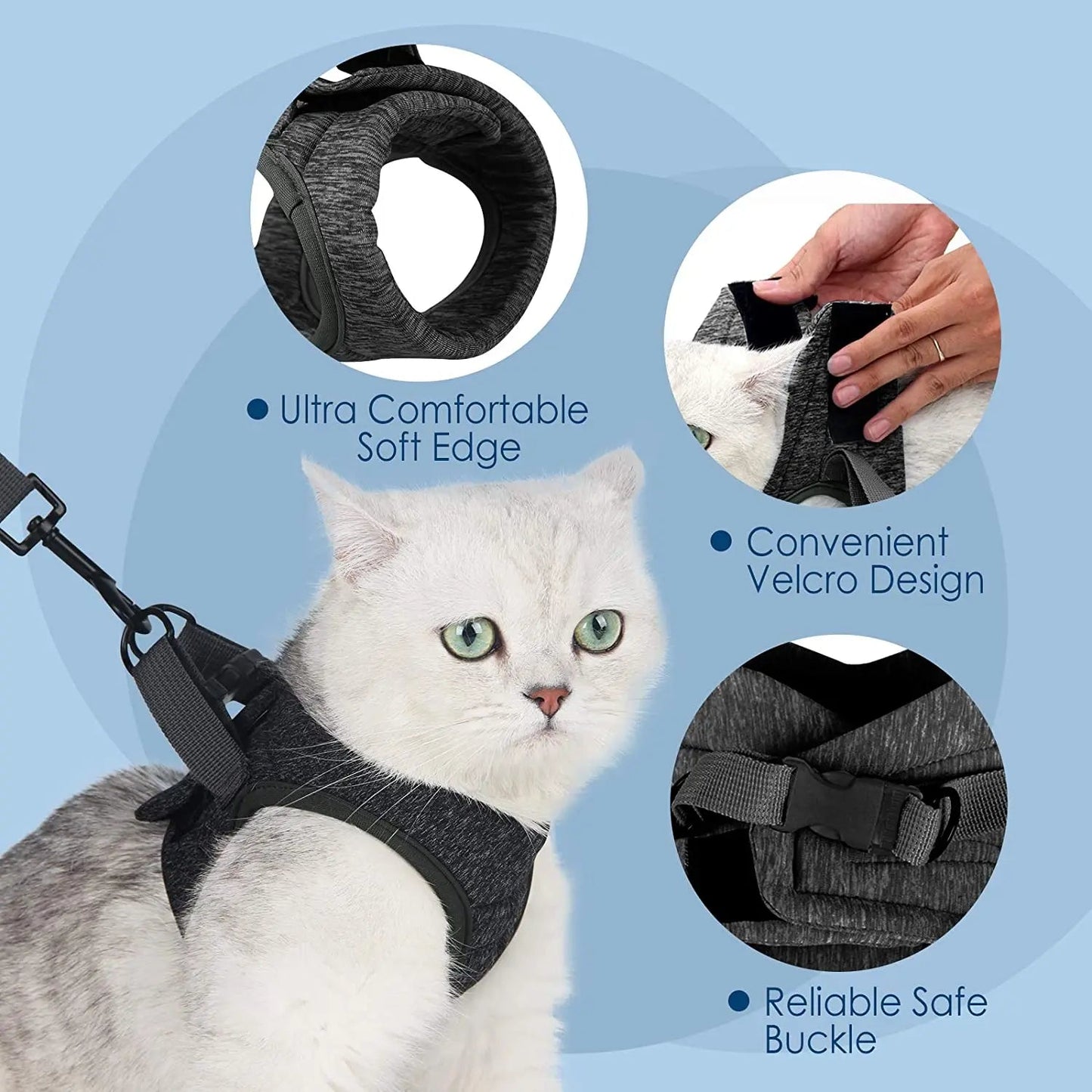 Harnais et gilet pour chatons Anti - évasion pour la promenade - L Univers Des Felins