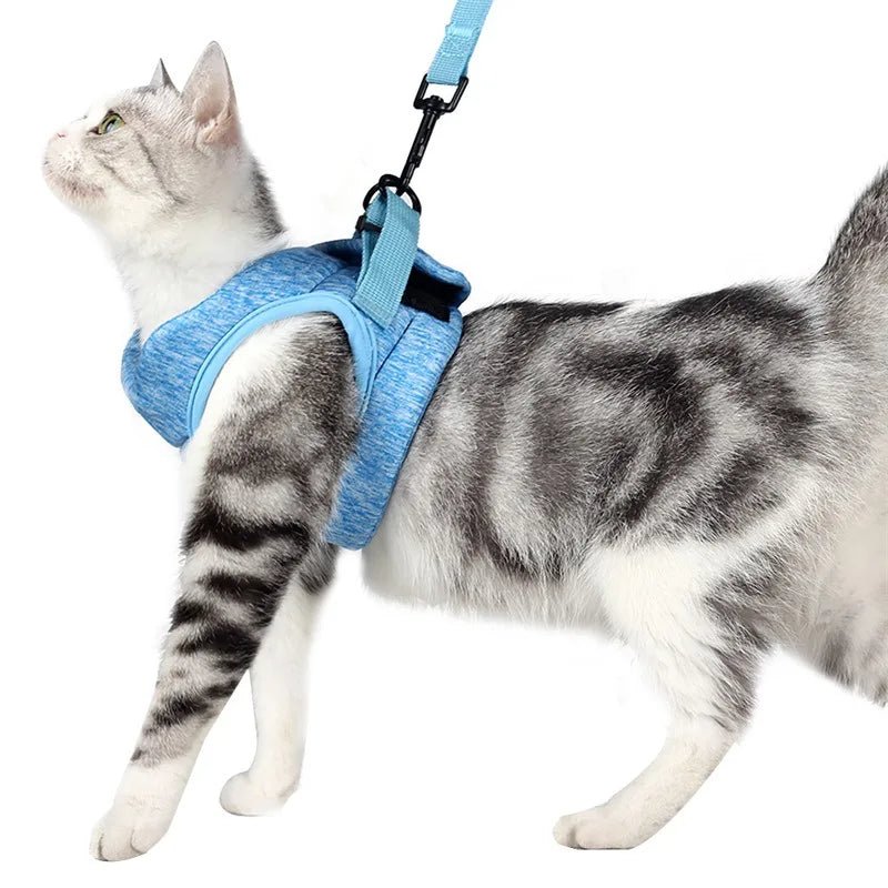 Harnais et gilet pour chatons Anti - évasion pour la promenade - L Univers Des Felins