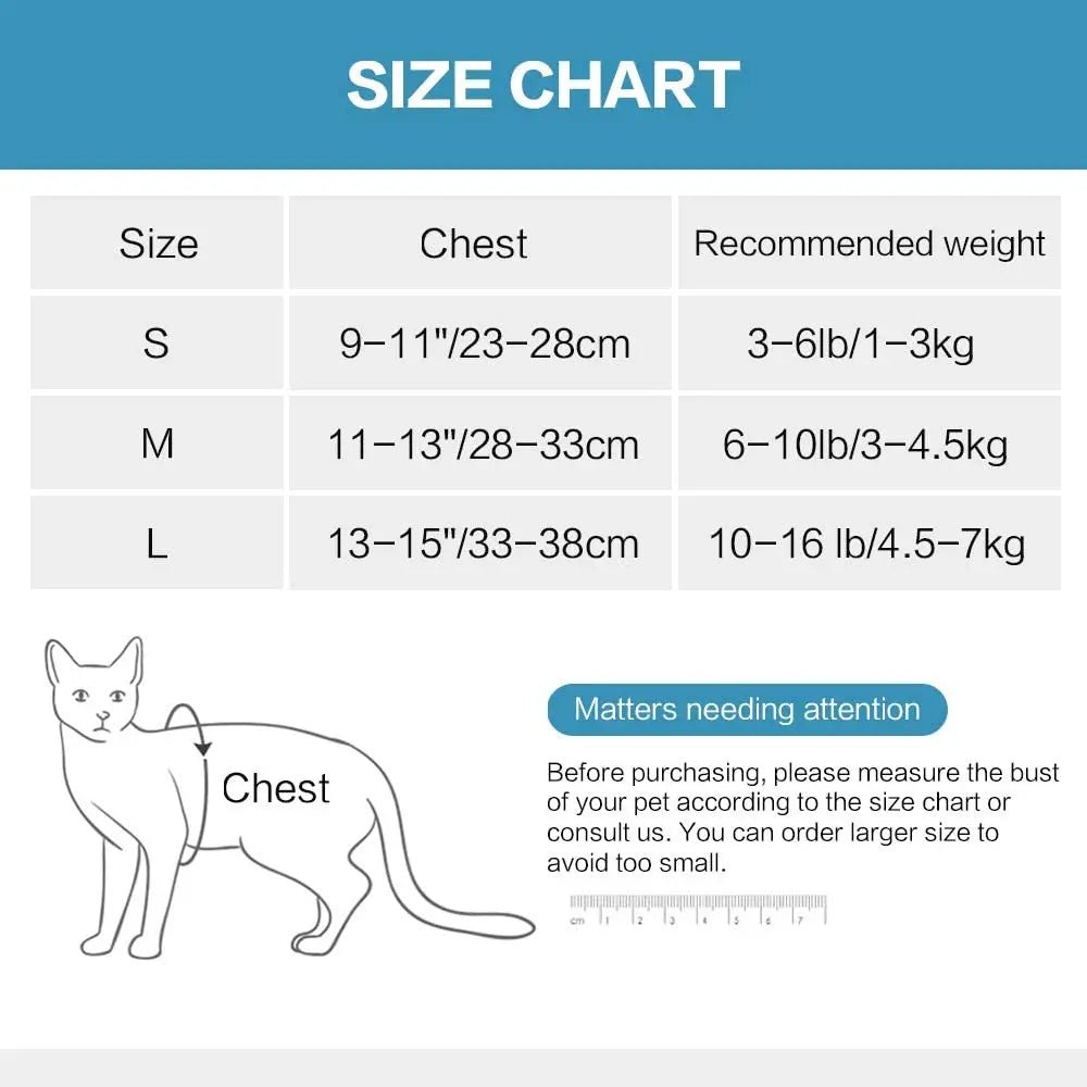 Harnais et gilet pour chatons Anti - évasion pour la promenade - L Univers Des Felins
