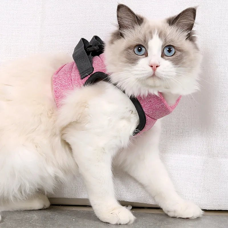 Harnais et gilet pour chatons Anti - évasion pour la promenade - L Univers Des Felins