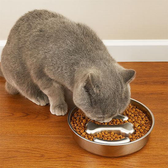 Gamelle de luxe pour chat - luniversdesfelins