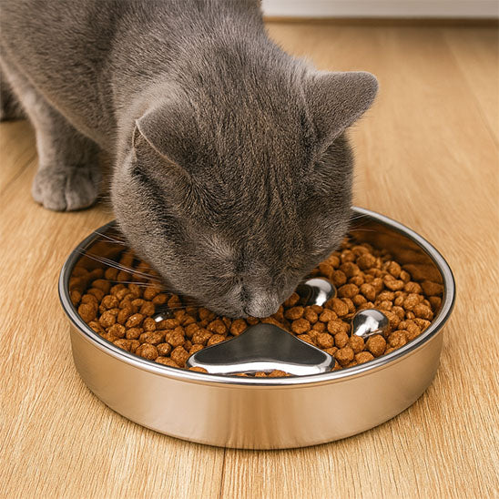 Gamelle de luxe pour chat - luniversdesfelins