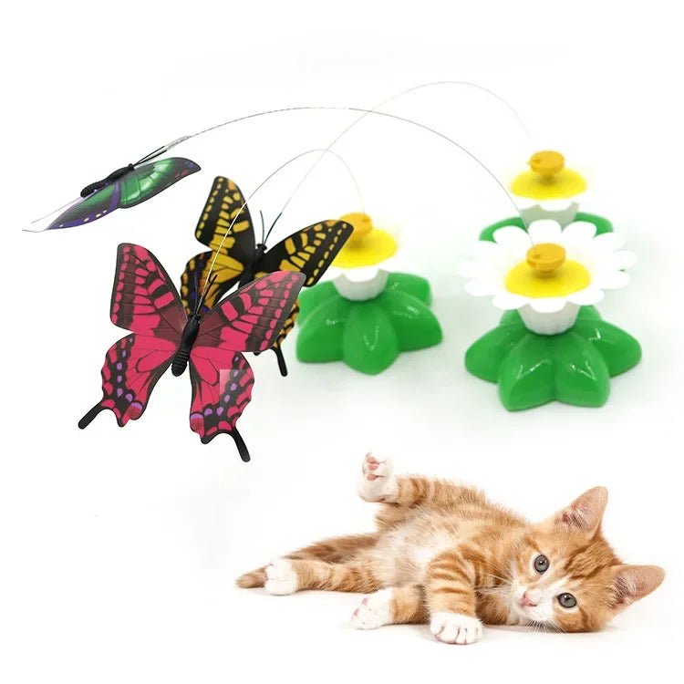 Jouet papillon volant pour chats - L Univers Des Felins
