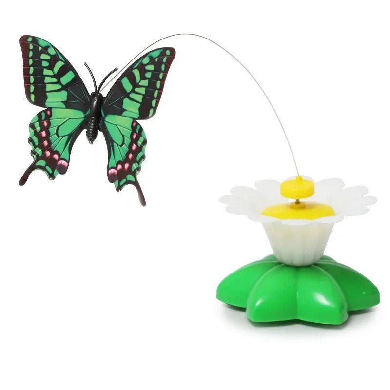 Jouet papillon volant pour chats - L Univers Des Felins