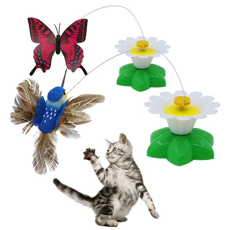 Jouet papillon volant pour chats - L Univers Des Felins