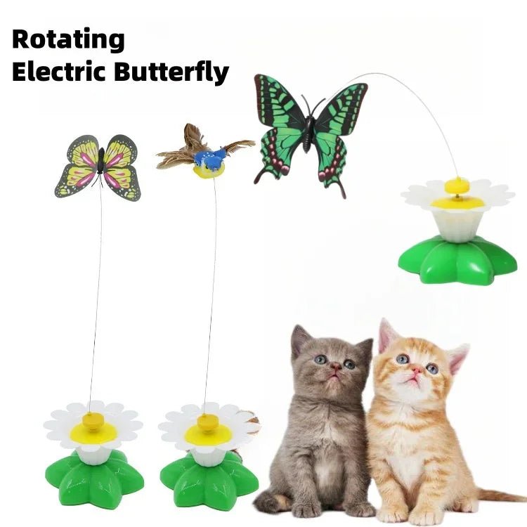 Jouet papillon volant pour chats - L Univers Des Felins