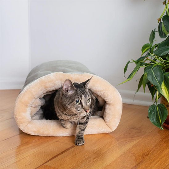 Maison pour chat chaude et semi - fermée. - L Univers Des Felins