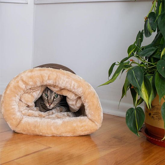 Maison pour chat chaude et semi - fermée. - L Univers Des Felins