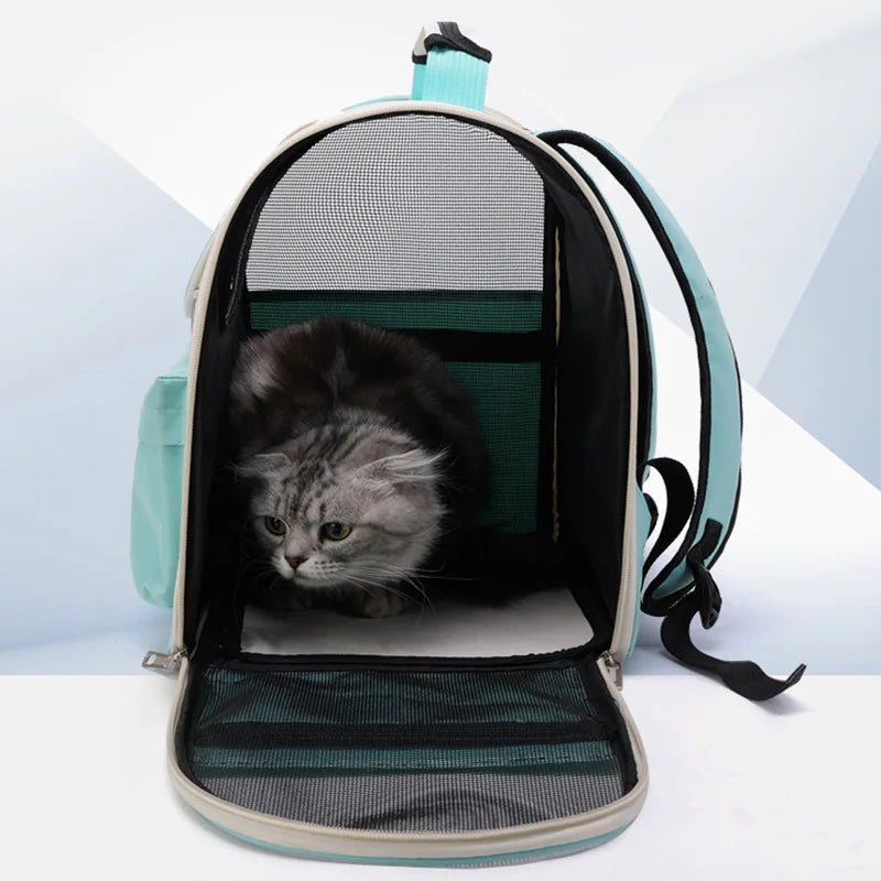 Sac à dos pour chat portable et confortable - L Univers Des Felins