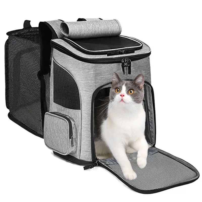 Sac de voyage pour chat, grande capacité - L Univers Des Felins