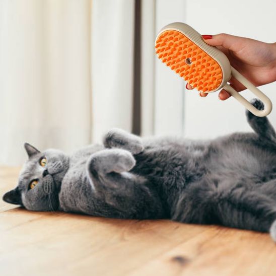 brosse pour chat dormi