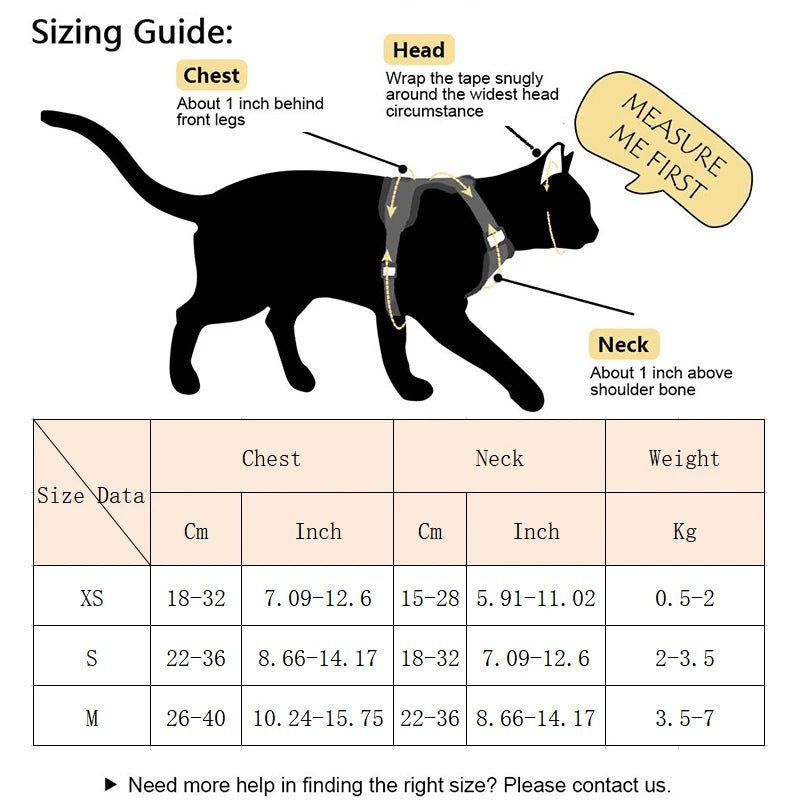 Ensemble harnais et laisse pour chat avec ailes d'ange. - L Univers Des Felins
