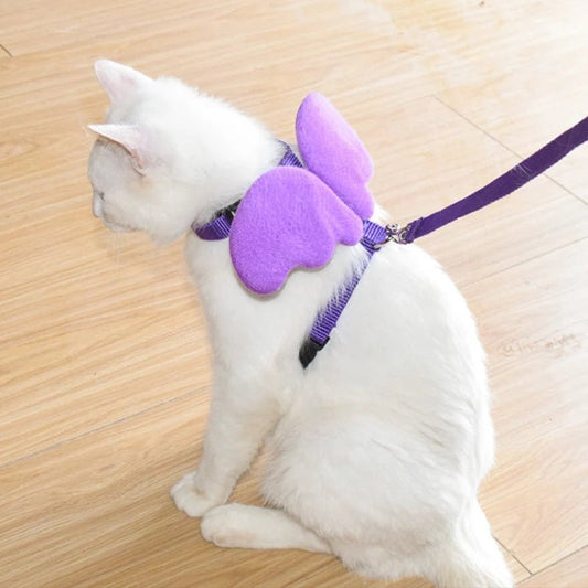 Ensemble harnais et laisse pour chat avec ailes d'ange. - L Univers Des Felins