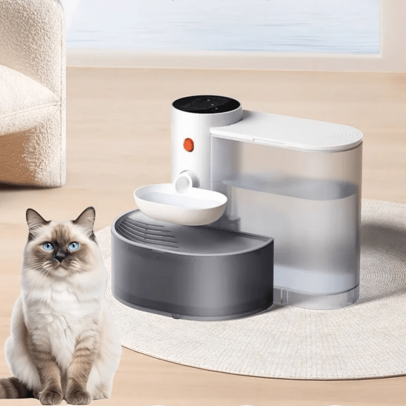 Fontaine à eau automatique et rechargeable pour chat - L Univers Des Felins