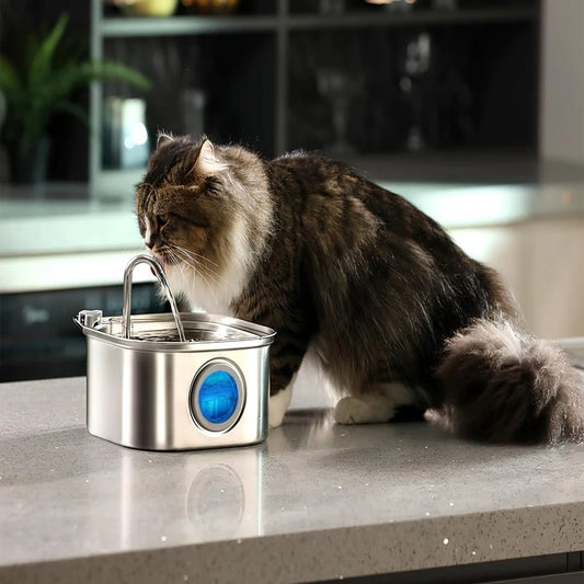 Fontaine à eau pour chat en acier inoxydable (3,2 L) - L Univers Des Felins