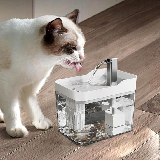 Fontaine à eau silencieuse pour chats, alimentée par USB - L Univers Des Felins