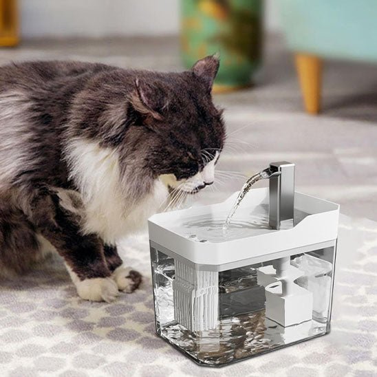 Fontaine à eau silencieuse pour chats, alimentée par USB - L Univers Des Felins