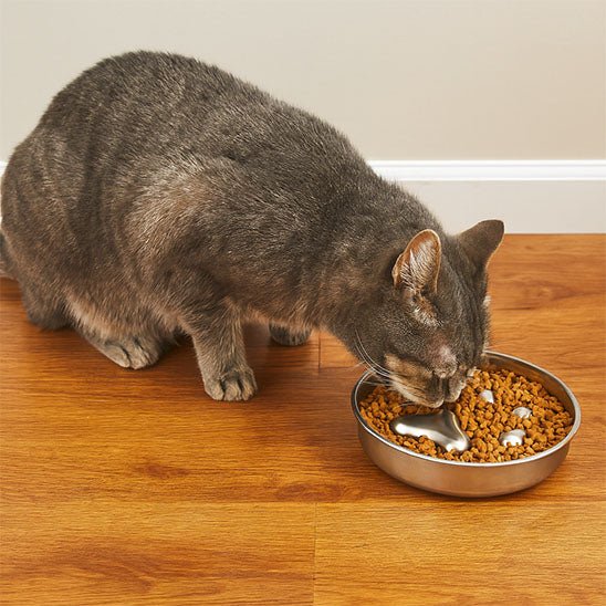 Gamelle de luxe pour chat - L Univers Des Felins