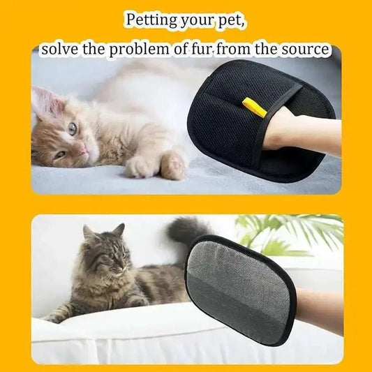 Gant d'épilation réutilisable pour chat - L Univers Des Felins