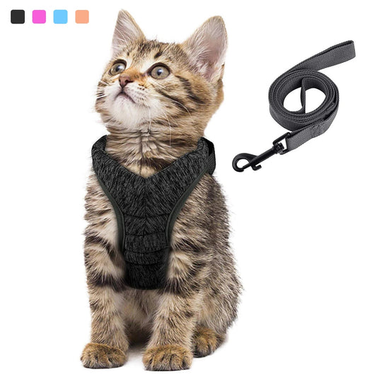 Harnais et gilet pour chatons Anti - évasion pour la promenade - L Univers Des Felins