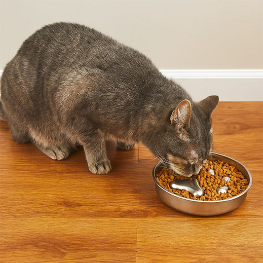 Gamelle de luxe pour chat - luniversdesfelins