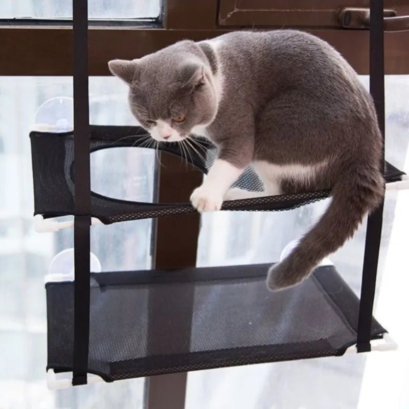 Lit hamac double étage pour chat, à suspendre à la fenêtre, siège ensoleillé pour chatons, lit de jeu, fixation murale par ventouses puissantes. - L Univers Des Felins