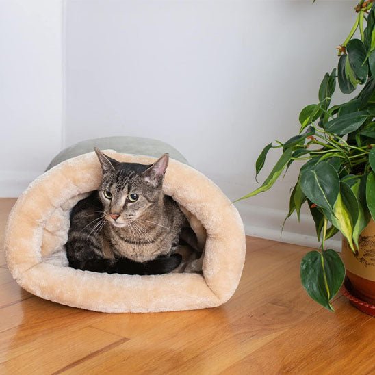 Maison pour chat chaude et semi - fermée. - L Univers Des Felins