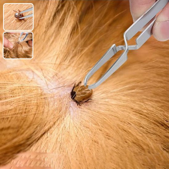 Pince et fourchette pour enlever les tiques des chats - L Univers Des Felins